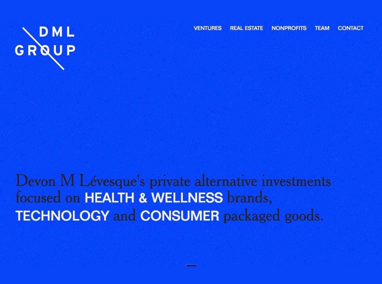 The DML Group homepage, an electric blue field carrying the firm's wordmark and a line on its investments in health and wellness, technology and consumer goods.